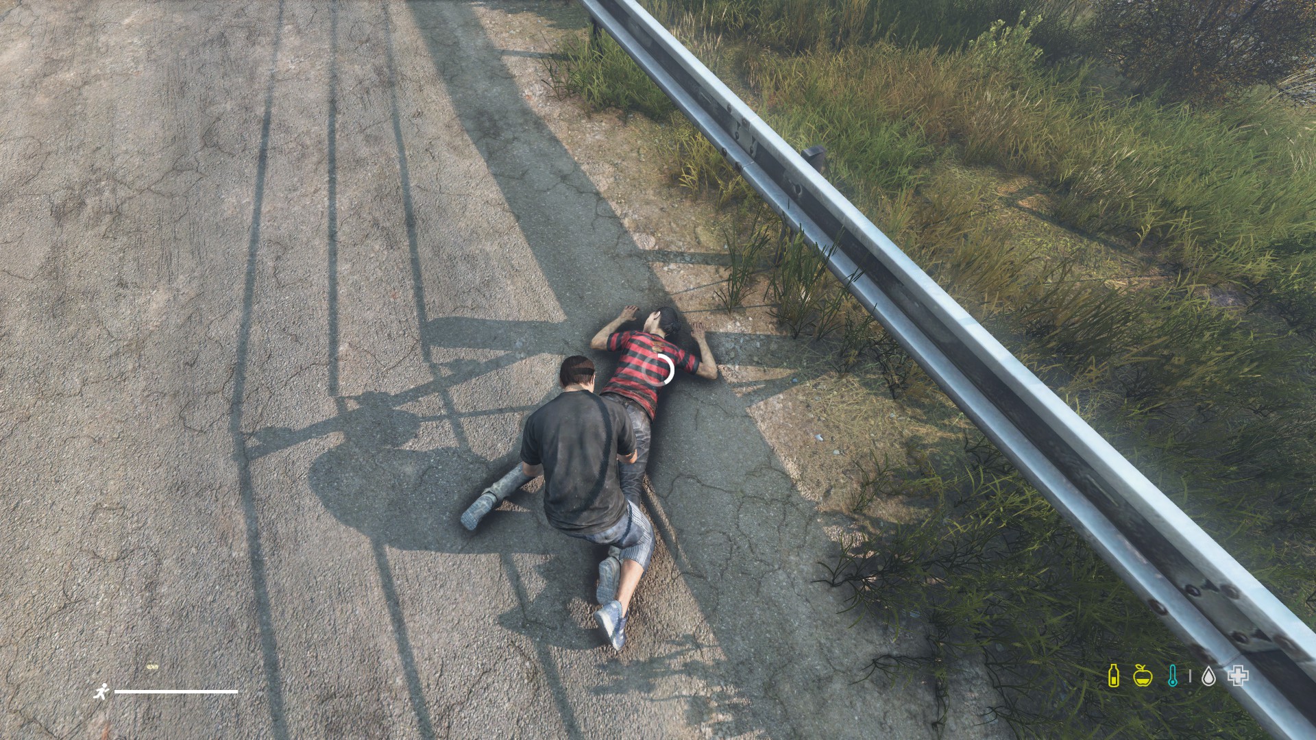 Capture Zombie Camouflage 2