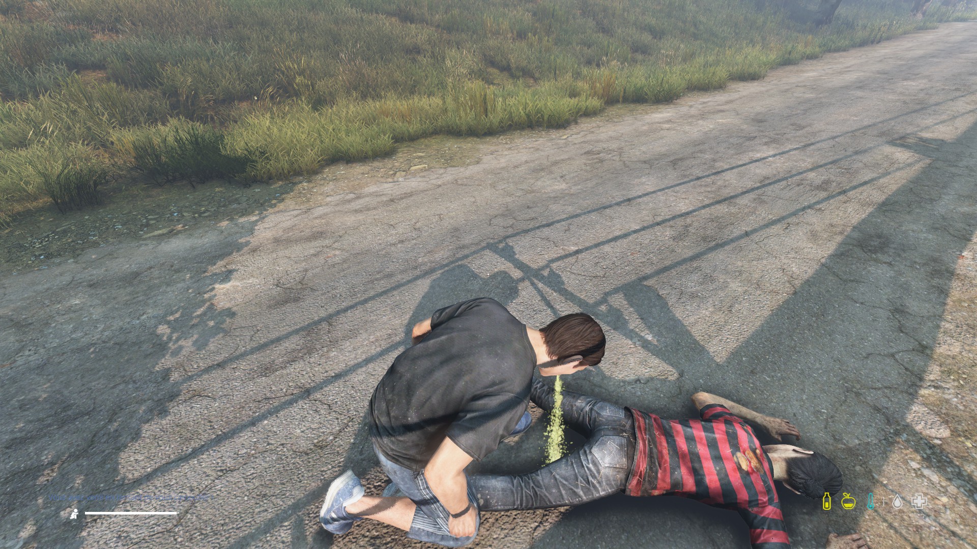 Capture Zombie Camouflage 3